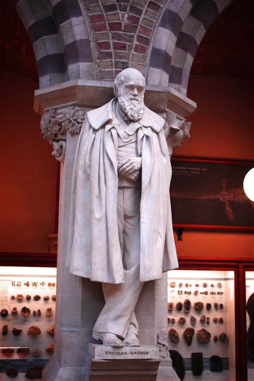 A detailed marble statue of a historical figure captured inside a museum with rich architectural details.