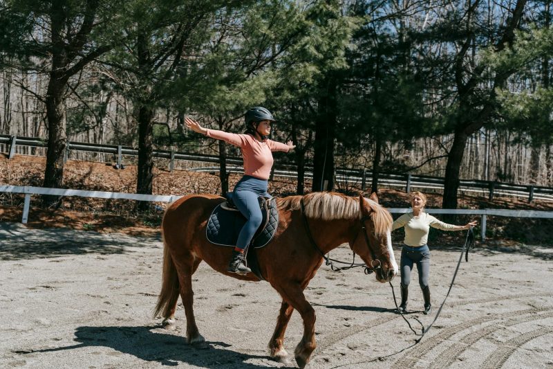 Horse Riding in New Forest National Park: Unforgettable Equestrian Escapes