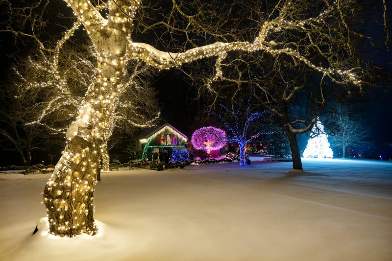 Christmas at Longleat House and Safari Park: Unforgettable Festive Magic