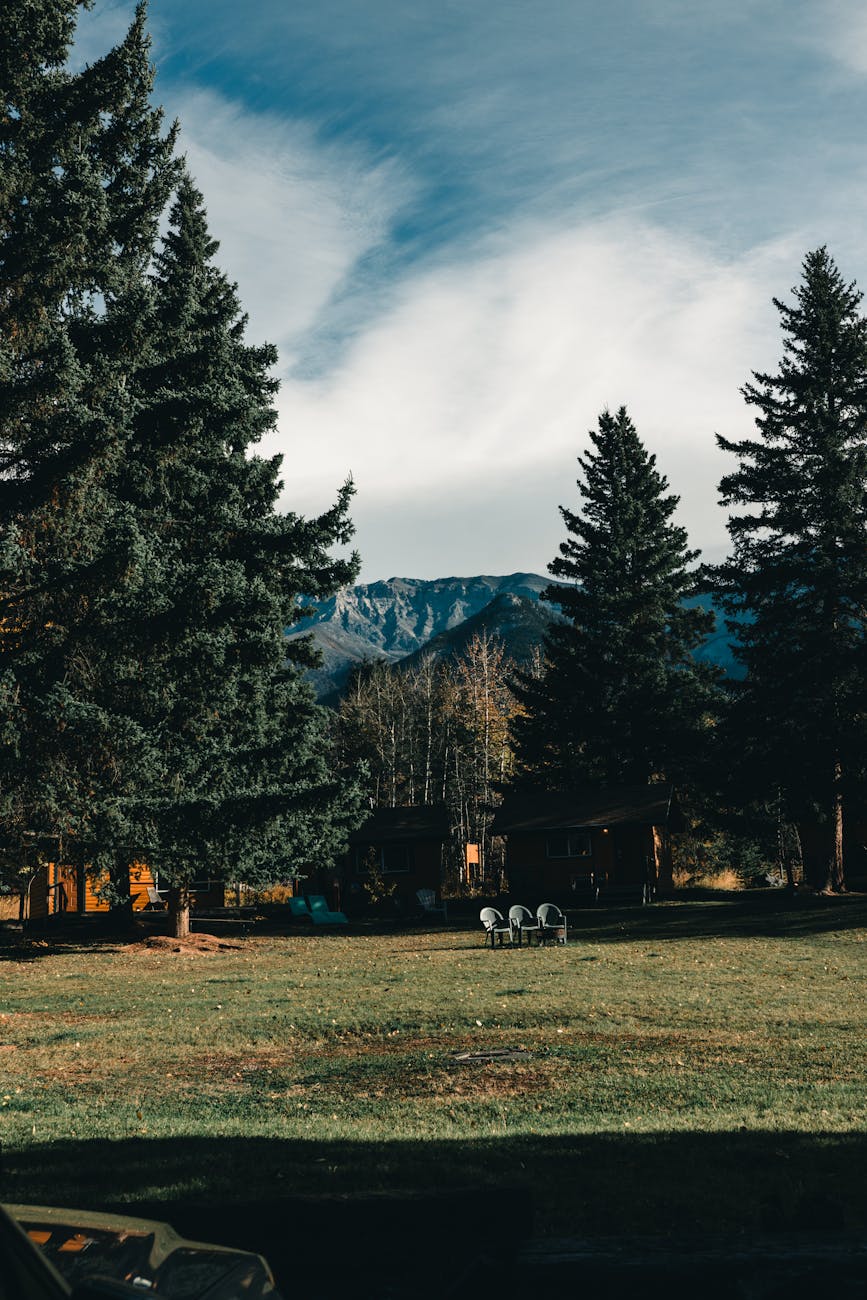 Explore serene forest landscape with mountain views in Banff, Canada.