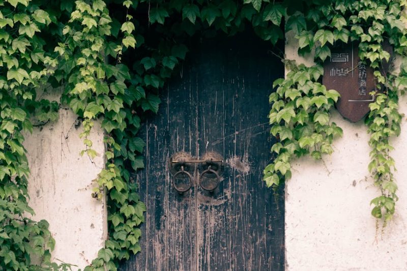 Chatsworth House Secret Gardens: Discover Enchanting Hidden Gem