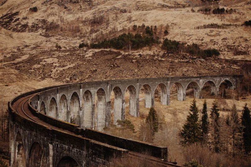 Fine Dining in Remote Scottish Lodges: Unforgettable Culinary Escapes