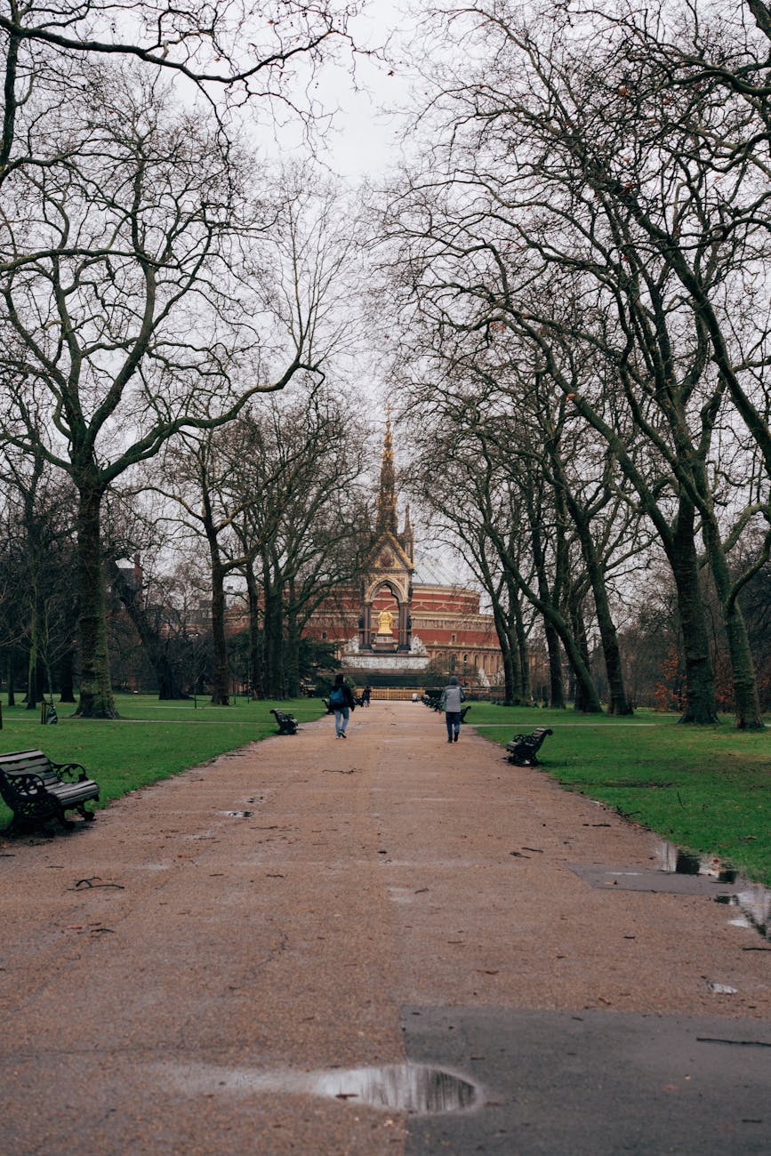 Pathway leading to Albert Memorial in London's Kensington Gardens during winter.