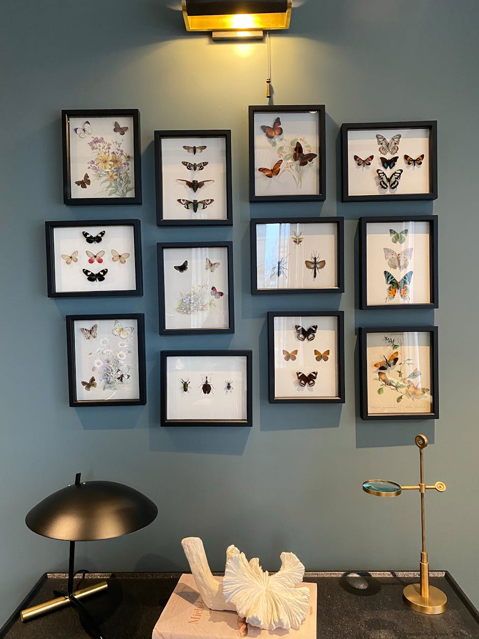 Framed butterfly art collection displayed on a wall with decor. Perfect for modern interiors.