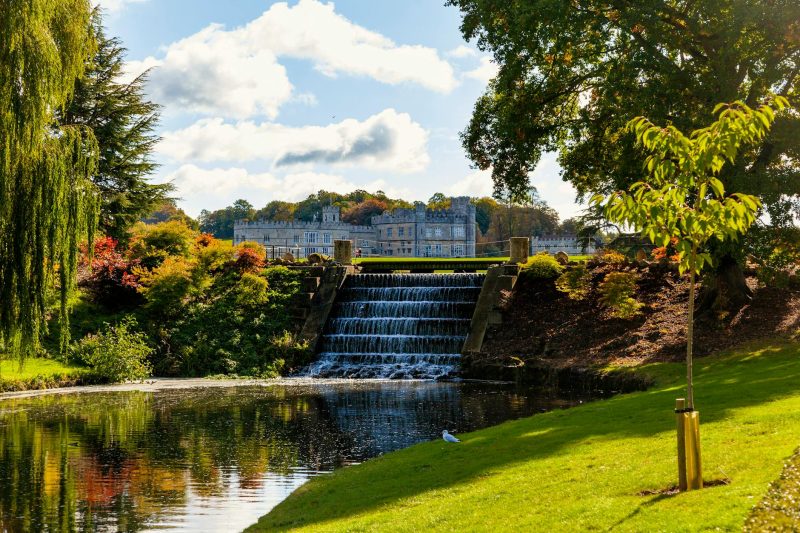 Swans and Scenic Surrounds: Discover the Enchanting Leeds Castle Gardens