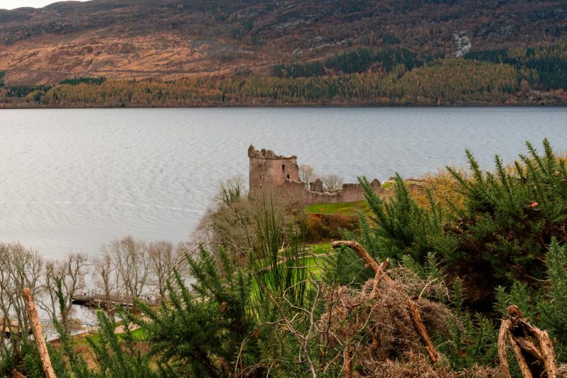 Wildlife-Filled Adventure at Loch Lomond Shores