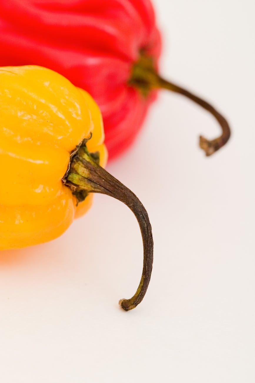 Macro shot of colorful red and yellow bell peppers with focus on texture and stems.